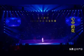中国音乐学院青年歌手赵雪演唱心中的花#音乐图片