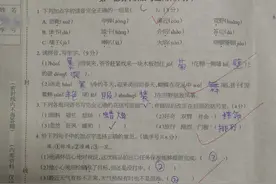 三年级语文期中考试真题，题型太灵活，考得好真不是老师教的图片