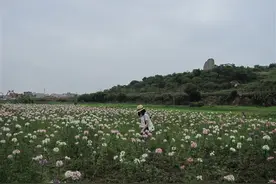 音乐翻译——第一天，孙燕姿图片