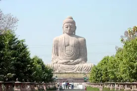 印度是佛教发源地，所以印度佛教很牛？其实在印度佛教都被灭了！视频封面