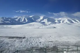 回忆初到上海至拉萨铁路上图片