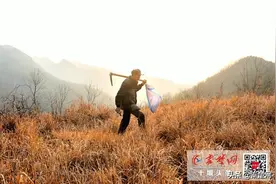 “郧阳李时珍”郭传奇：痴迷采药60年 帮无数患者解除病痛图片