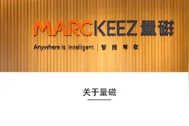 量磁电气，专注吊扇灯自主研发生产图片