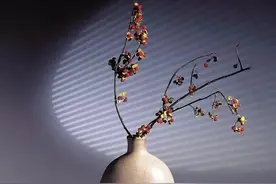 欲为大树，莫与草争，有道理吗？图片