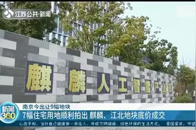 南京出让9幅地块：7幅住宅用地顺利拍出，麒麟、江北地块底价成交图片