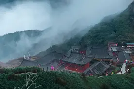 给照片和视频加上自己的专属水印，再也不用担心被盗图了图片
