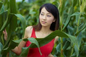 俗语“四大嫩，四大紧，四大硬，四大不能摸”，到底是什么意思？图片