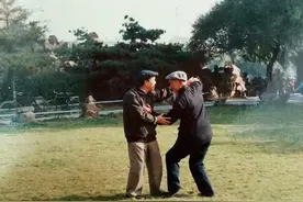 太极高手是怎么以意打人的？武禹襄《太极拳论要解》集解（七）图片