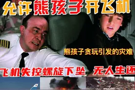 1994年，熊孩子进入驾驶舱驾驶飞机，造成飞机坠毁75名乘客全遇难图片