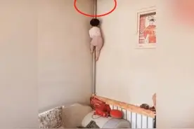 “窜天猴”宝宝走红，徒手爬暖气管，引网友大呼：是个高手图片