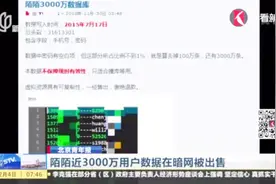 陌陌近3000万用户数据在暗网被出售，陌陌作出回应视频封面