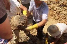 湖北一工地挖出罕见东周古墓，墓主人身份成谜，专家：这是第一次图片