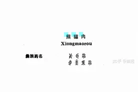 历史上有人吃过熊猫肉吗？熊猫肉好吃吗？图片