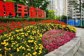 假日好去处 丨 花香四溢~虹口的公园换新衣啦！图片