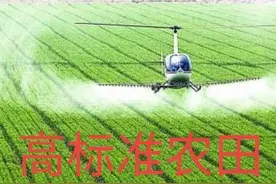 2022年建成10亿亩高标准农田，产能达1万亿斤，土地要统一收回？图片