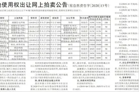 惊雷！南阳前地王卧龙府东地块被挂牌重拍图片