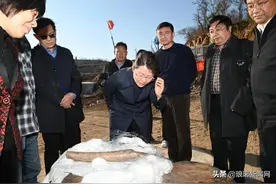 临沂，重大发现！距今9.9万年！在世界范围内也极为罕见图片