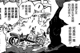 海贼王：弗兰奇实力被低估，激光输出不亚于黄猿，瞬秒一只蛮霸者图片