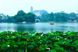 镇江三山：用健康为未来旅游加码 | 景区复游图鉴图片