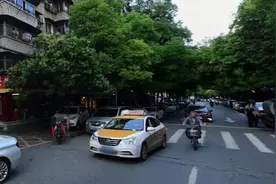 武汉城区最复杂交通工具：颜色太多机动方式不同，有些地方还不去图片