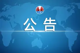 宁晋县2020年城区小学招生摸底公告图片