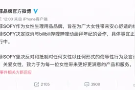B站被多家品牌拉入“黑名单”回应称将开展春节网络环境专项整治行动图片