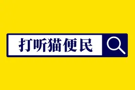 高邮将迎来新高速，全长161公里，途径多个县镇！「江苏打听猫」图片