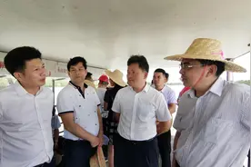 省交通厅领导深入海岛调研推进冬松岛渡改桥项目建设图片