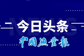 11只救治康复海龟放归大海图片