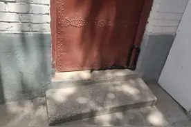 太原市成功救助一条棕黑锦蛇图片