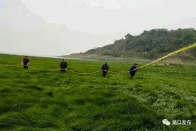 湖口：血防站抢抓季节阻断血吸虫病传播图片