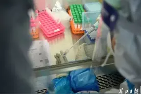 探访“火眼”实验室：武汉诞生，助力全球围猎新冠病毒图片