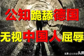 暴打公知！「良心」下水道，坑了多少中国人？大雨浇灭德国神话？图片