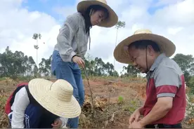 北海发现广西规模最大唐代古窑群图片