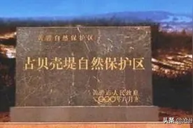 跨越千年，看黄骅古贝壳堤的“沧海桑田”年轮变换图片