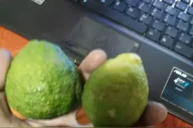 在非洲测量工作的经历与思考图片