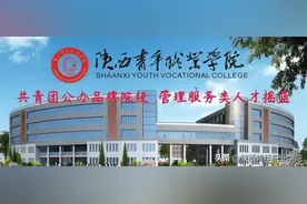 权威发布丨陕西青年职业学院2021年分省、分专业招生代码图片