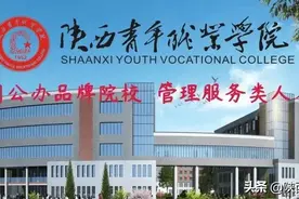 权威发布丨陕西青年职业学院2021年分省、分专业招生代码图片