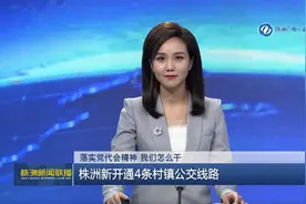 落实党代会精神 我们怎么干 株洲新开通4条村镇公交线路图片