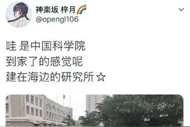 东方快评丨任何社交平台从来都不是法外之地图片