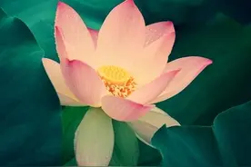 别让原生家庭的伤害左右了你的人生图片