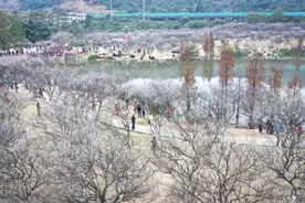 广州最诗意的小岛，居然都藏在了这里！图片