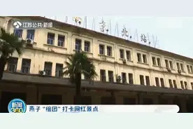 大批燕子组团打卡南京浦口火车站 几十对“临时夫妻”筑巢育雏图片