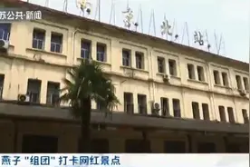 大批燕子组团打卡南京浦口火车站 几十对“临时夫妻”筑巢育雏图片
