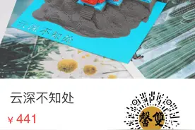 云深不知处图片