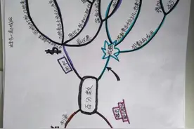 思维导图复习百分数的应用图片