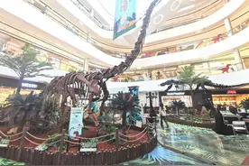 14米长恐龙首次走出博物馆展出，大型恐龙展亮相京西商场图片
