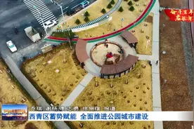 西青区蓄势赋能 全面推进公园城市建设图片