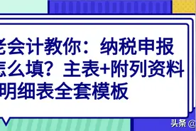 老会计分享：纳税申报怎么填？主表+附列资料+明细表全套模板图片