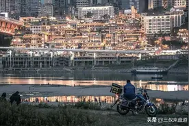 没有一只鸡能活着走出重庆图片